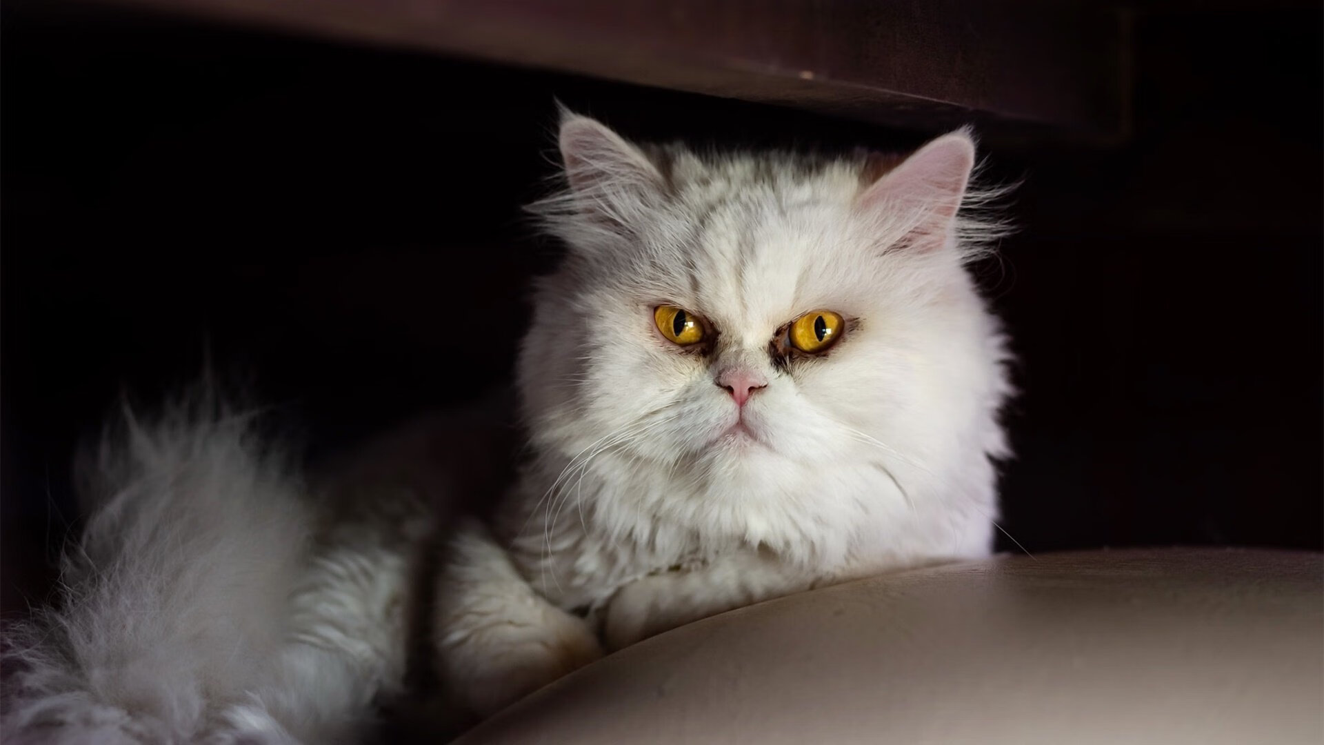 西甲国家德比之夜，巴雷拉的窒息式压迫，如何让伯纳乌陷入死寂？