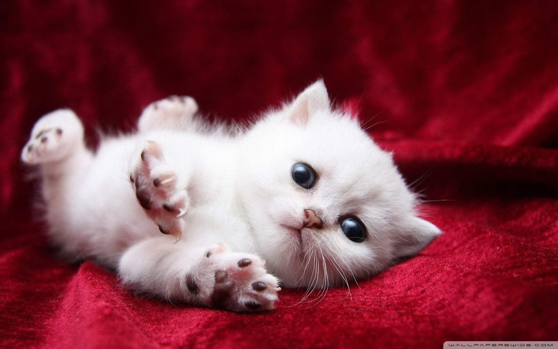 双城记，绝杀的艺术与王者的接管—足球命运的两副面孔