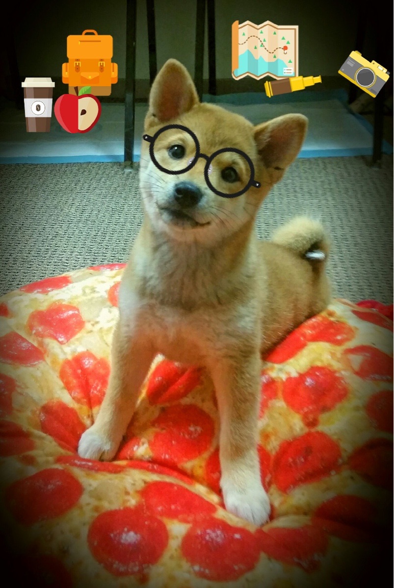 金玟哉的逆袭,加拿大防守锁死韩国,他却接管年度焦点之战