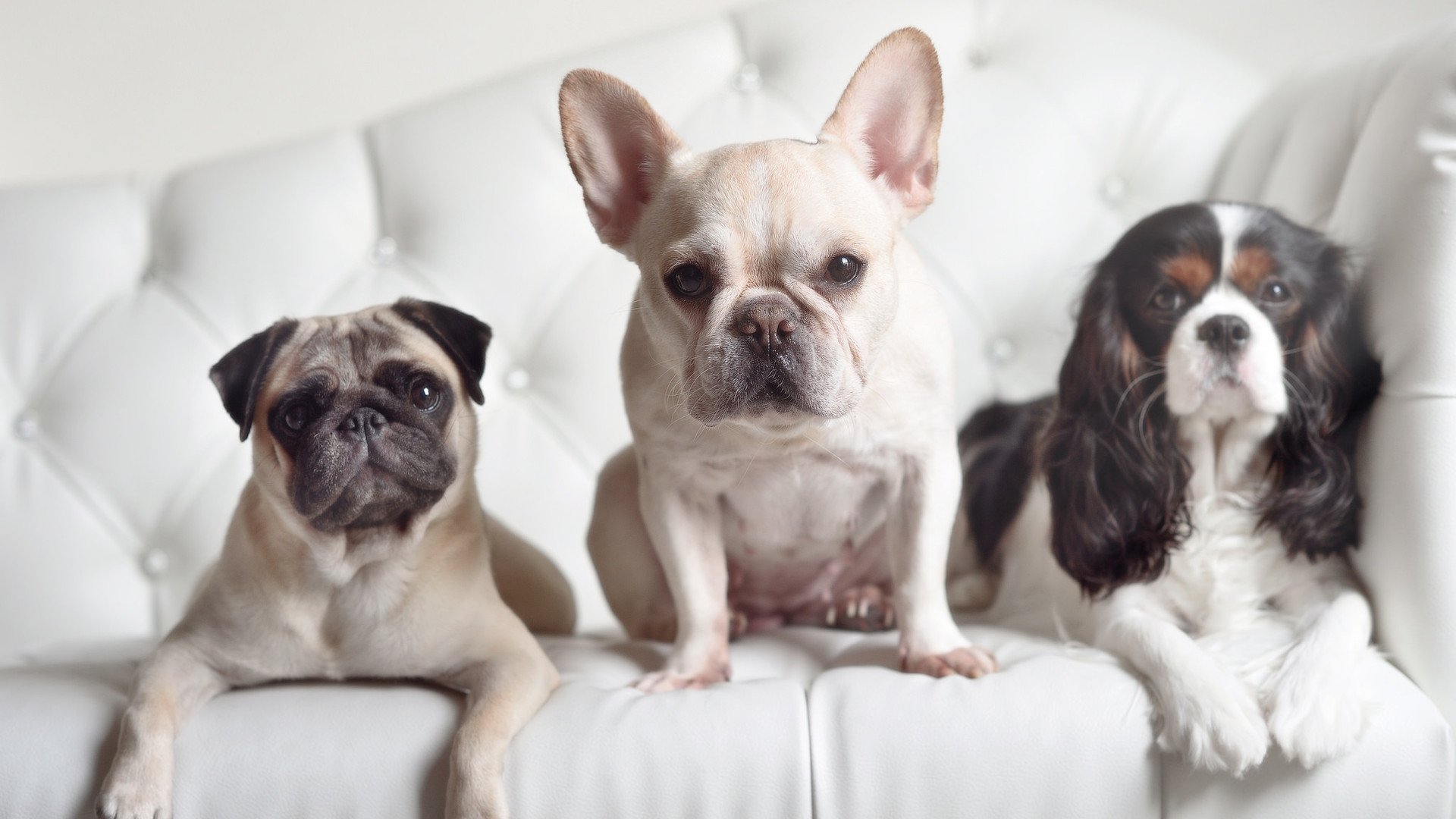 打破次元壁的篮球对话，当东方长城遭遇西方黑马，贝恩的杀伤链如何重塑比赛逻辑？