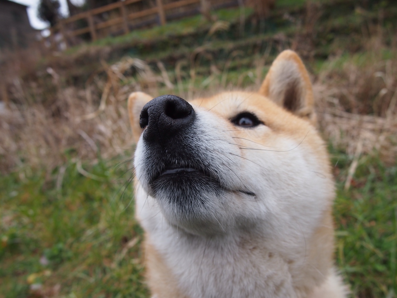 1.次元破壁！广厦鏖战绿军，文班亚马一剑封喉定乾坤