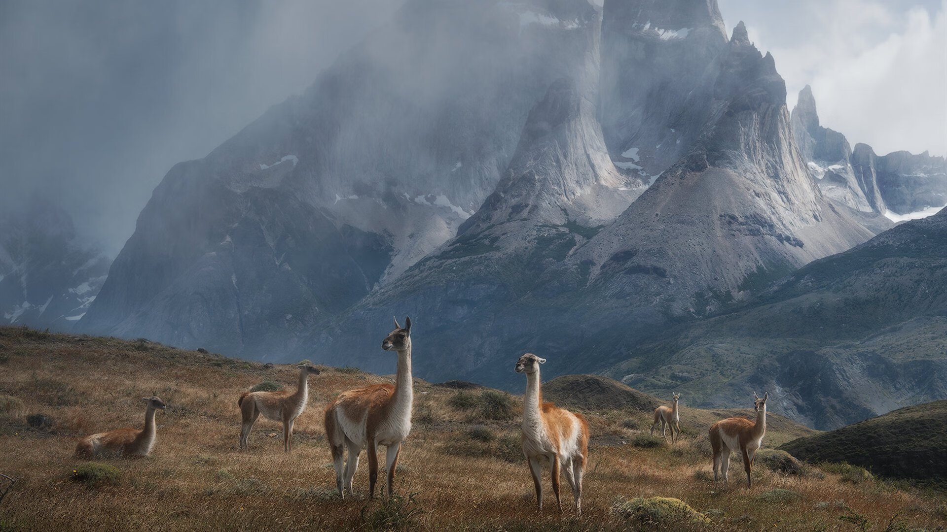 尼斯斩落埃及，奥亚尔萨瓦尔用教科书表演，让法老文明跪倒在现代足球脚下