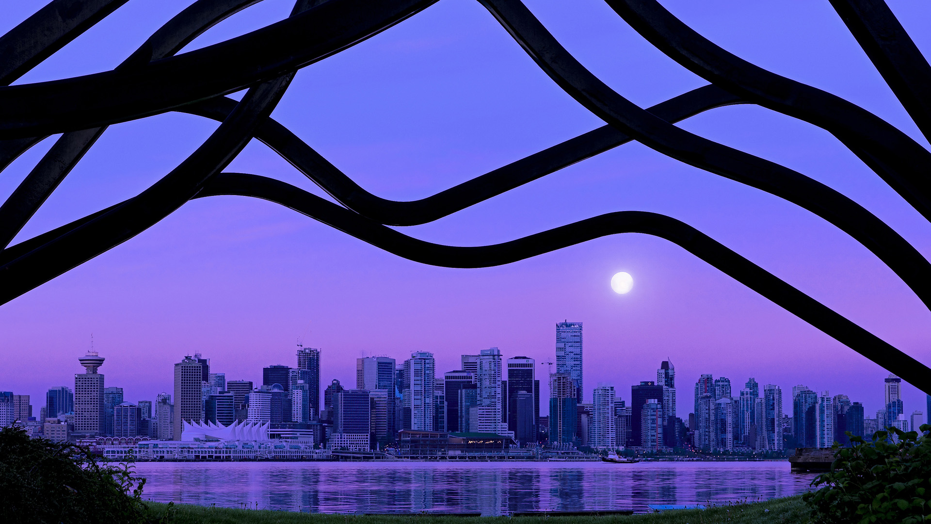 芝加哥的星辰，休斯顿的烽火