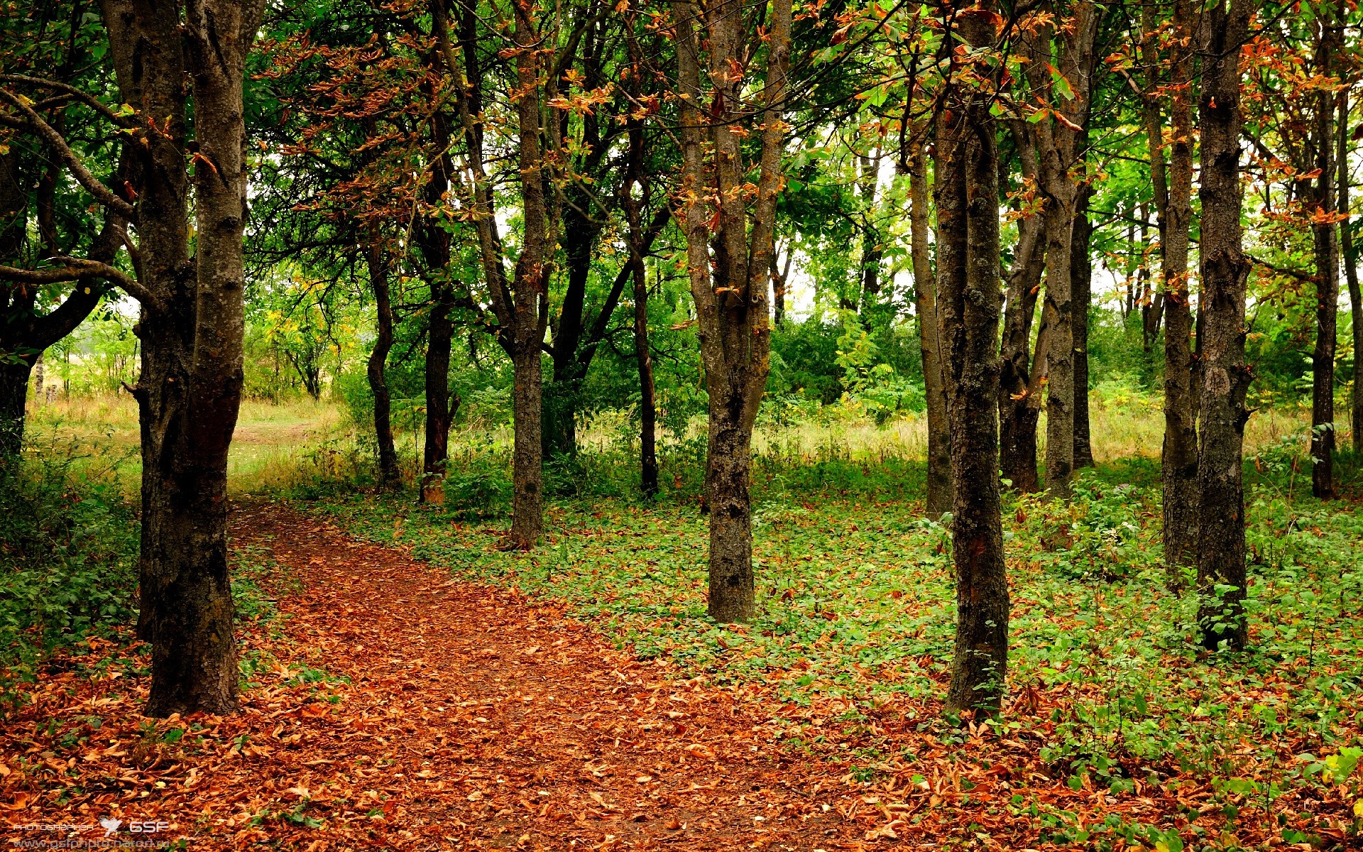 单城德甲争冠夜，劳塔罗用一己之力在另一片大陆诠释何为彻底打爆