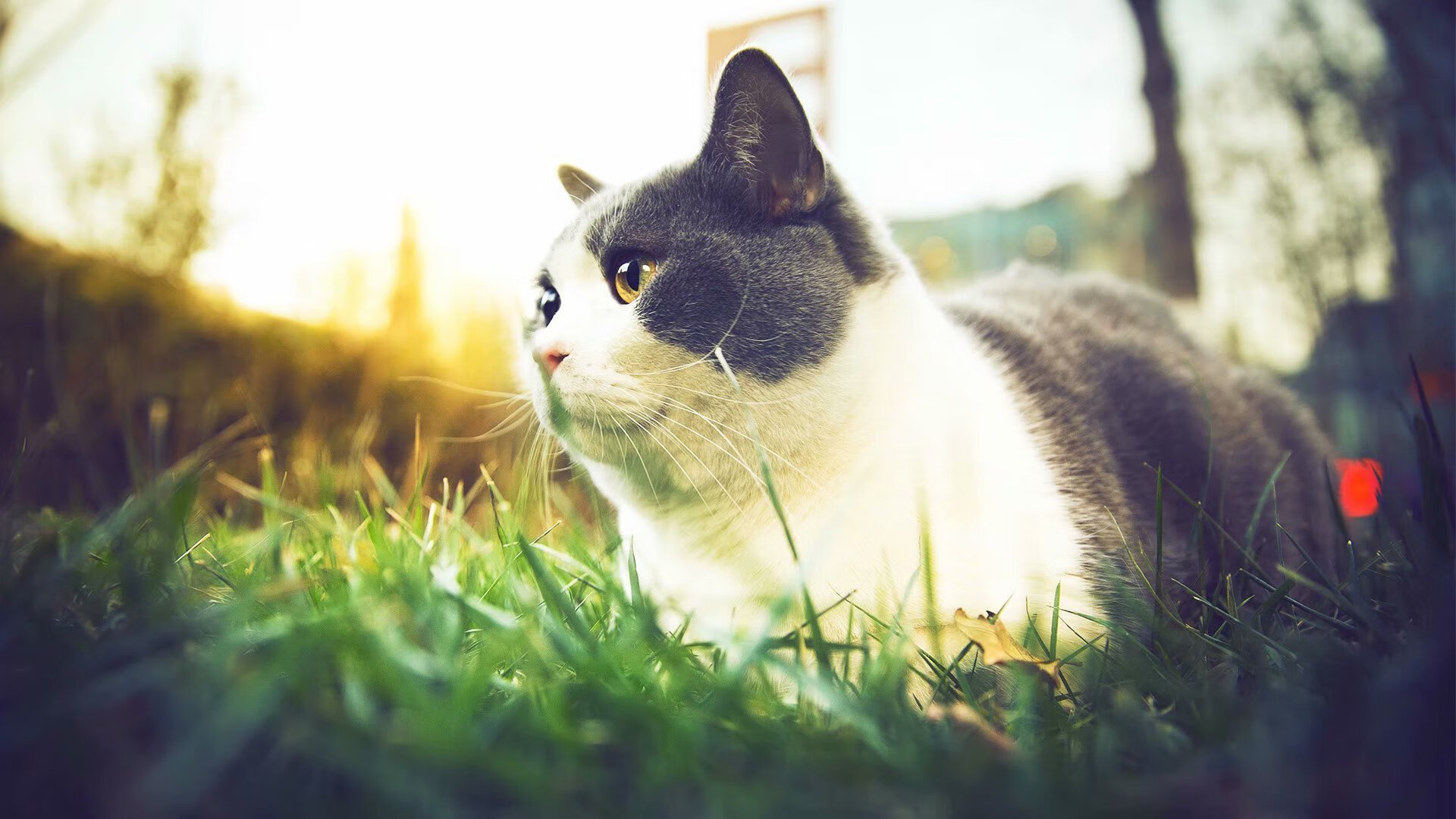 从伦敦到伯纳乌，赖斯的关键节点导弹如何击沉黄色潜水艇