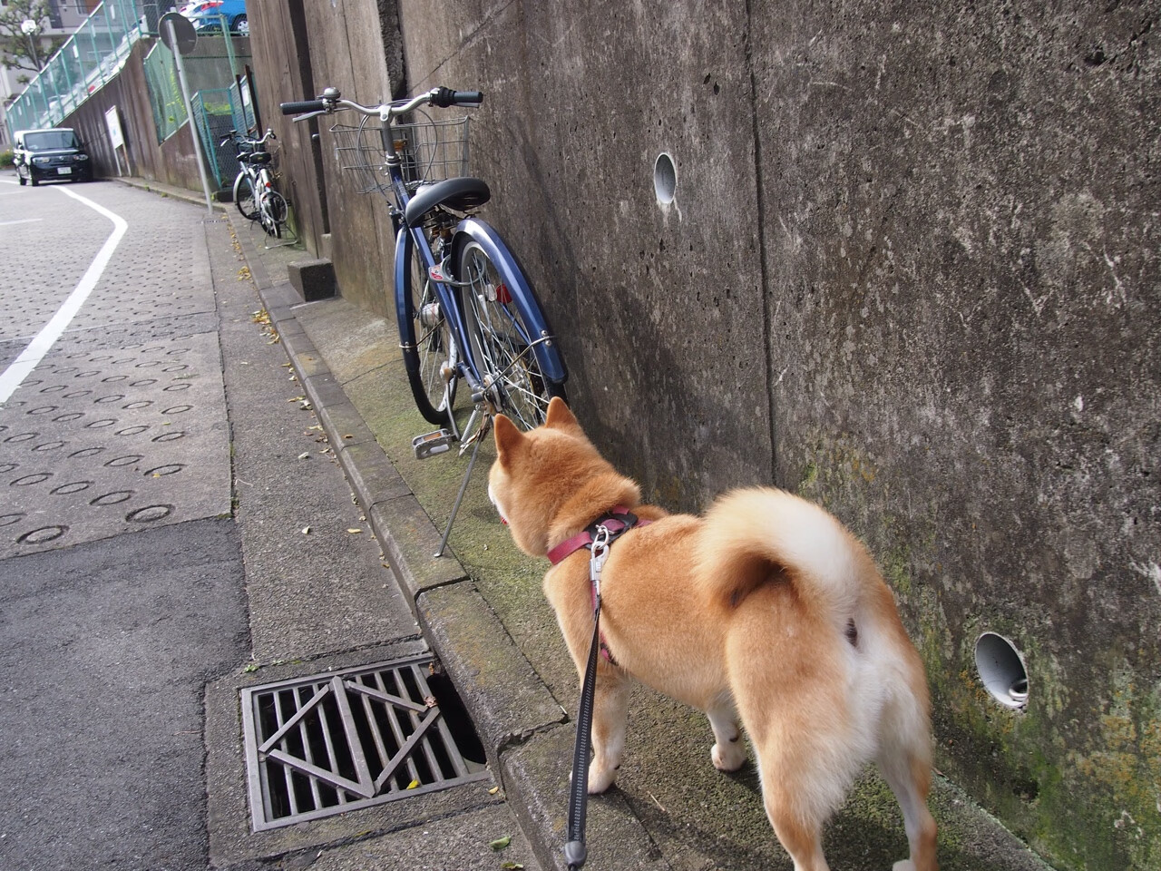 末节之神，浓眉统治时刻，篮网争冠征途关键一胜