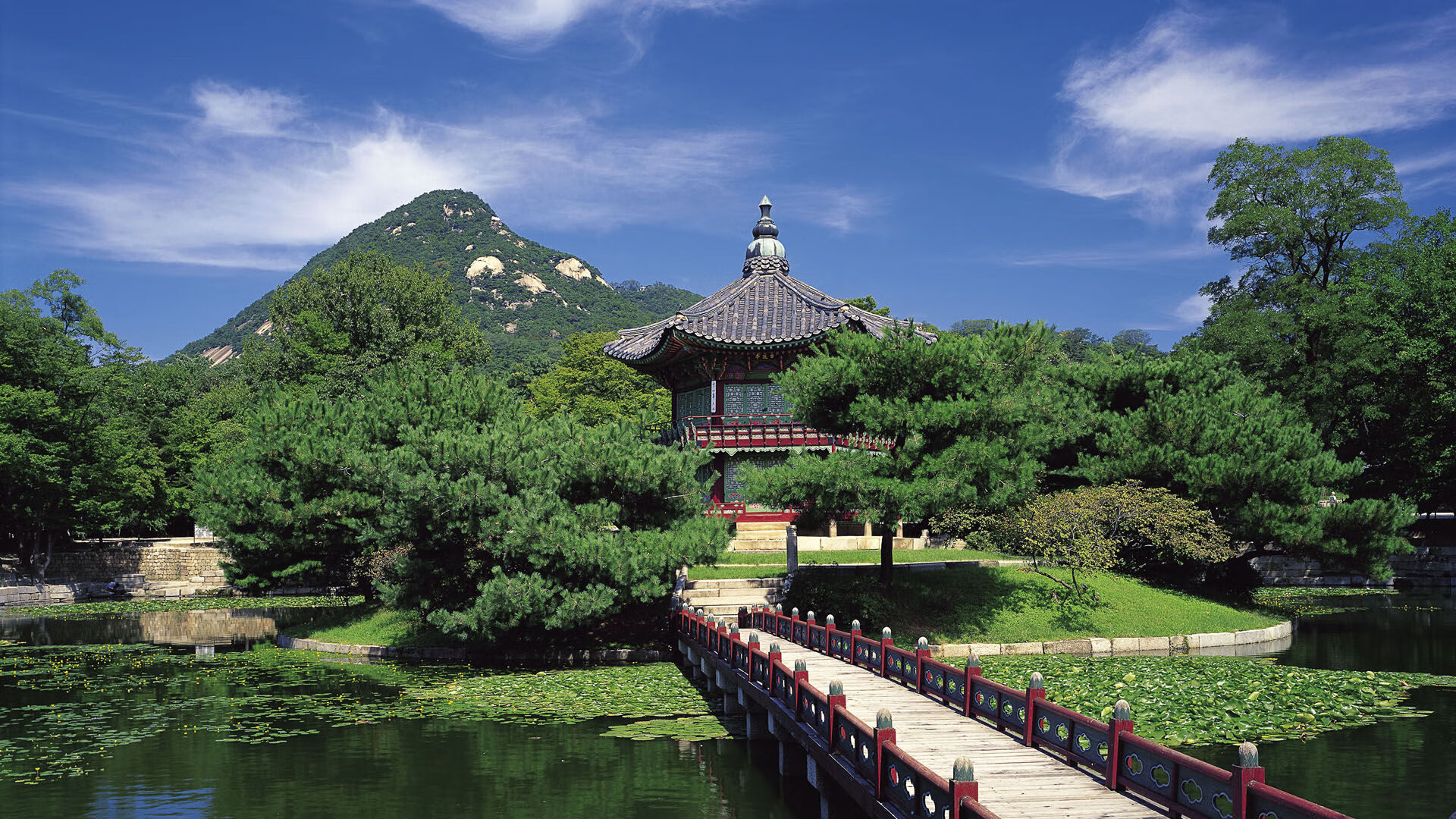 熔岩吞没雨林，当福登在冰与火的罅隙间点燃第三种温度