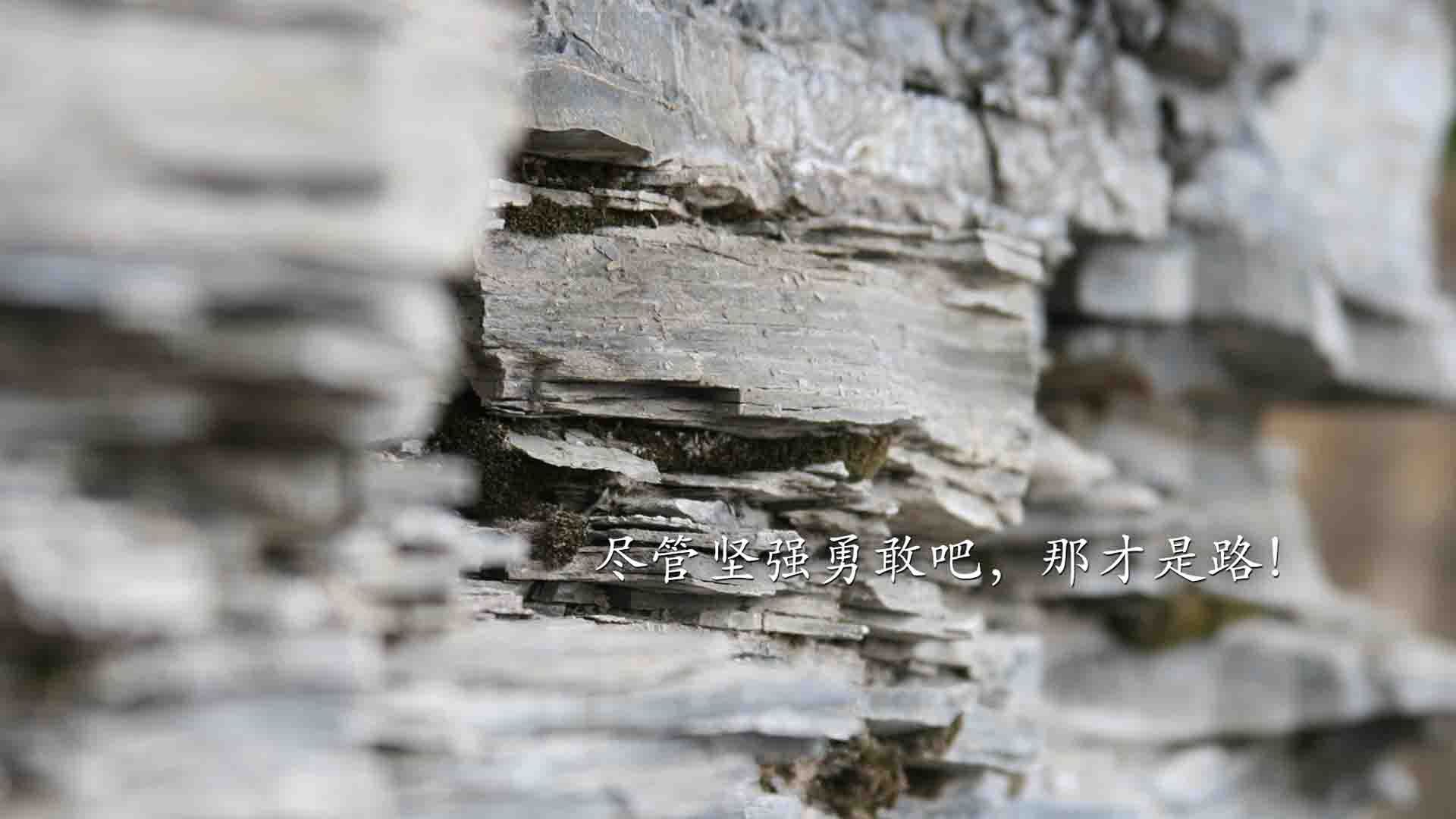 唯一与征服，神迹绝杀英格兰，努涅斯赛后评分拉满背后的中国足球首球即决战