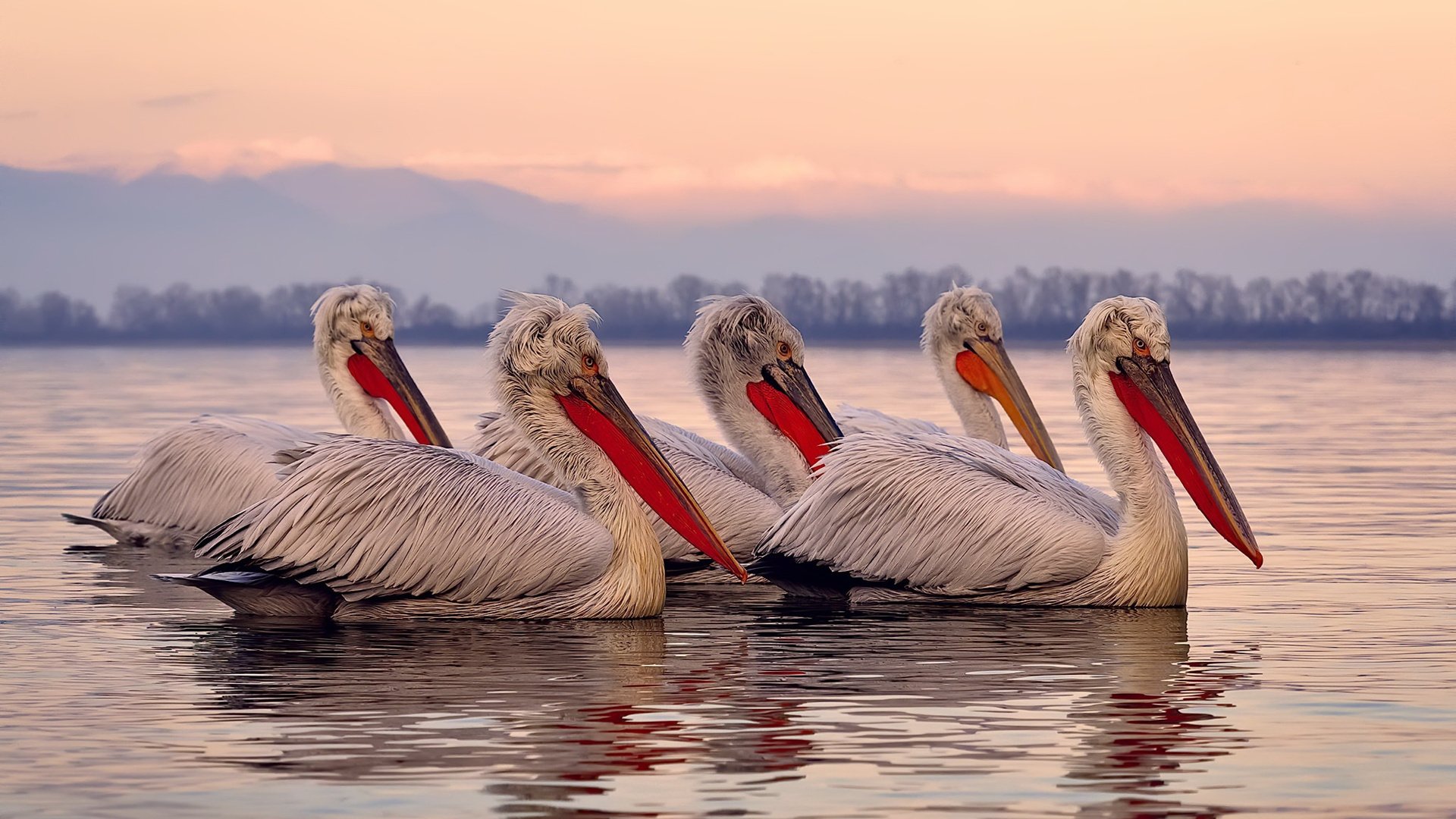 冰川在球场轰鸣，冰火之战展现世界排名高原法则