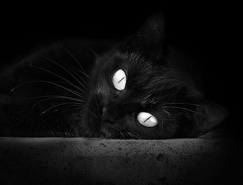 斯特灵桥到都灵城，一个无名后卫的史诗裁决