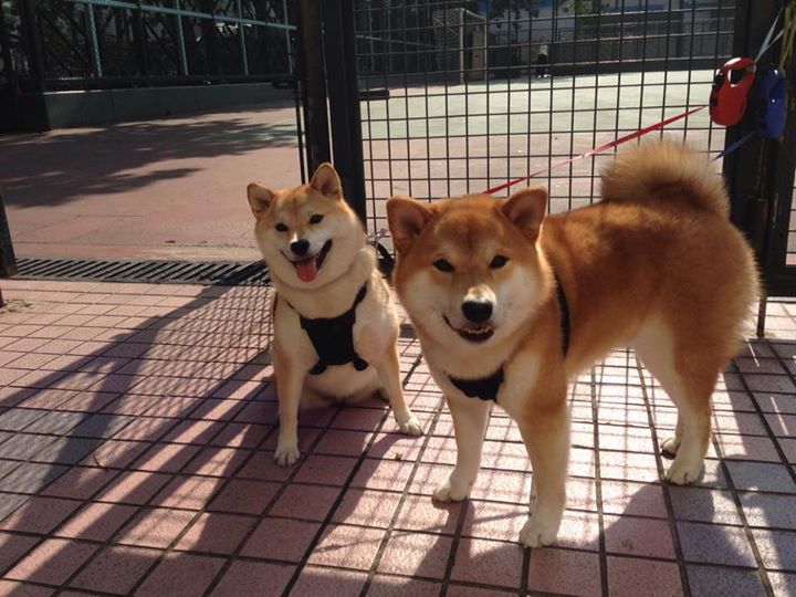 午夜之门，当广东队打穿快船，保罗在欧冠半决赛接管比赛