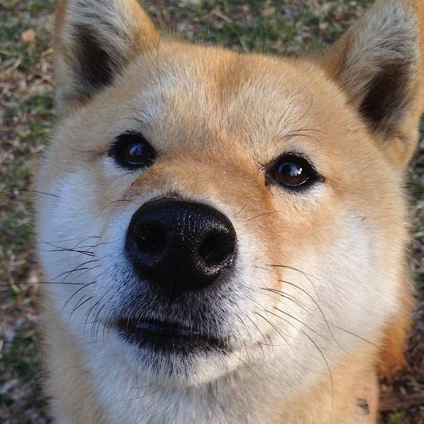 詹姆斯死亡封盖锁定胜局！勇士客场险胜国王，关键先生非他莫属