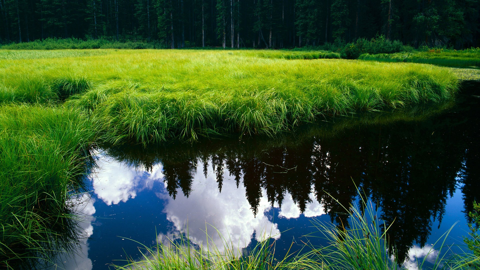 稳固与闪耀，从皮斯胡安到美加墨的安达卢西亚双重奏