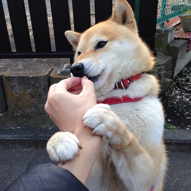 双星映照，勇士团队飓风与詹皇数据风暴，谁主新时代定义？