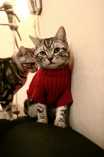 鹰隼展翼时，爱德华兹于命运之夜镌刻唯一