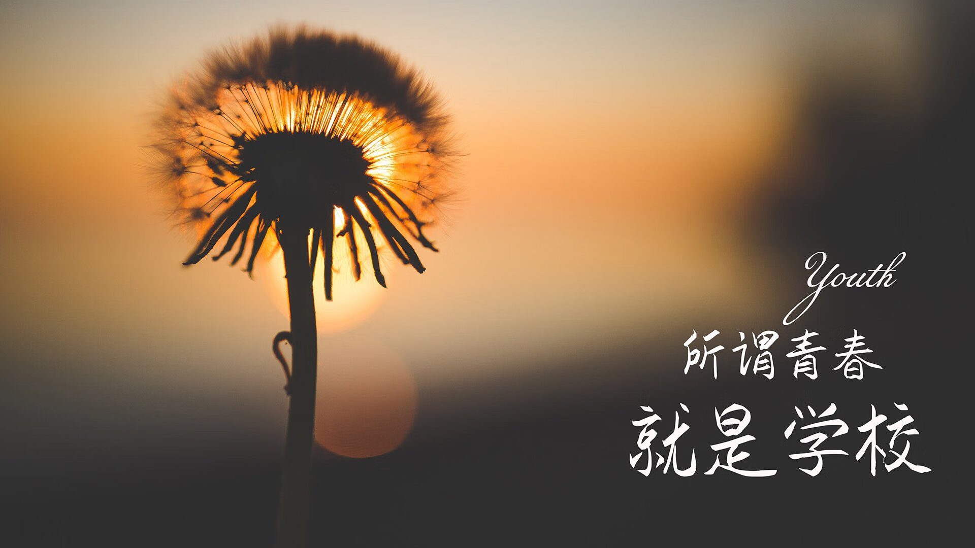 让我们先为这场独一无二的比赛,构思一个能抓住所有人眼球的标题