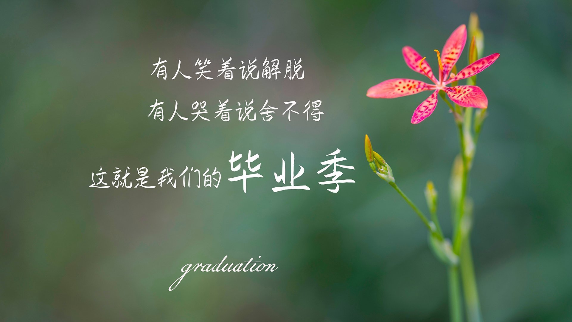 很有张力!我来为你构建一个兼具深度与激情的唯一性故事