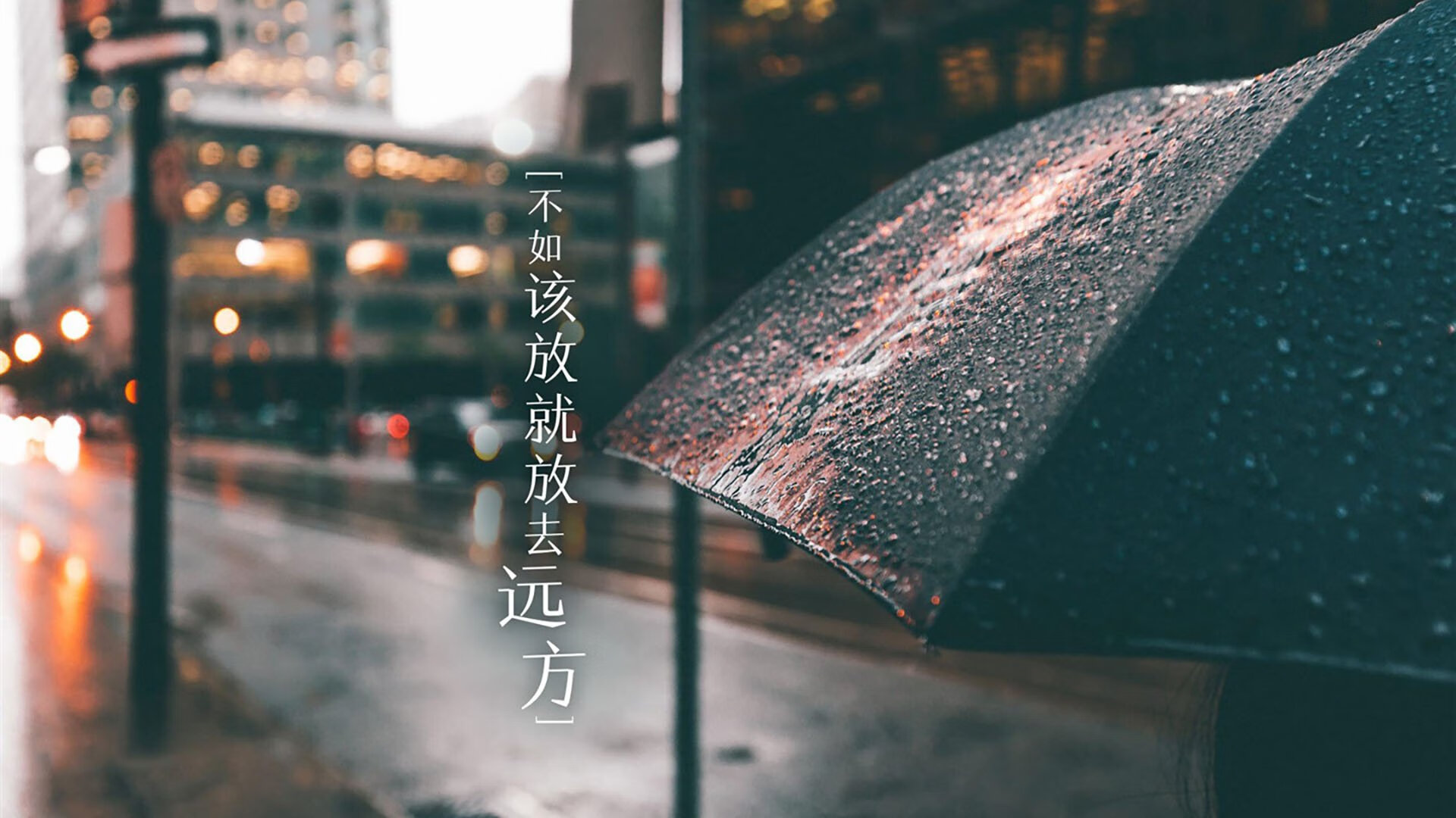 G组生死战,穆西亚拉的唯一预言,德国战车碾压厄瓜多尔的90分钟宿命对决