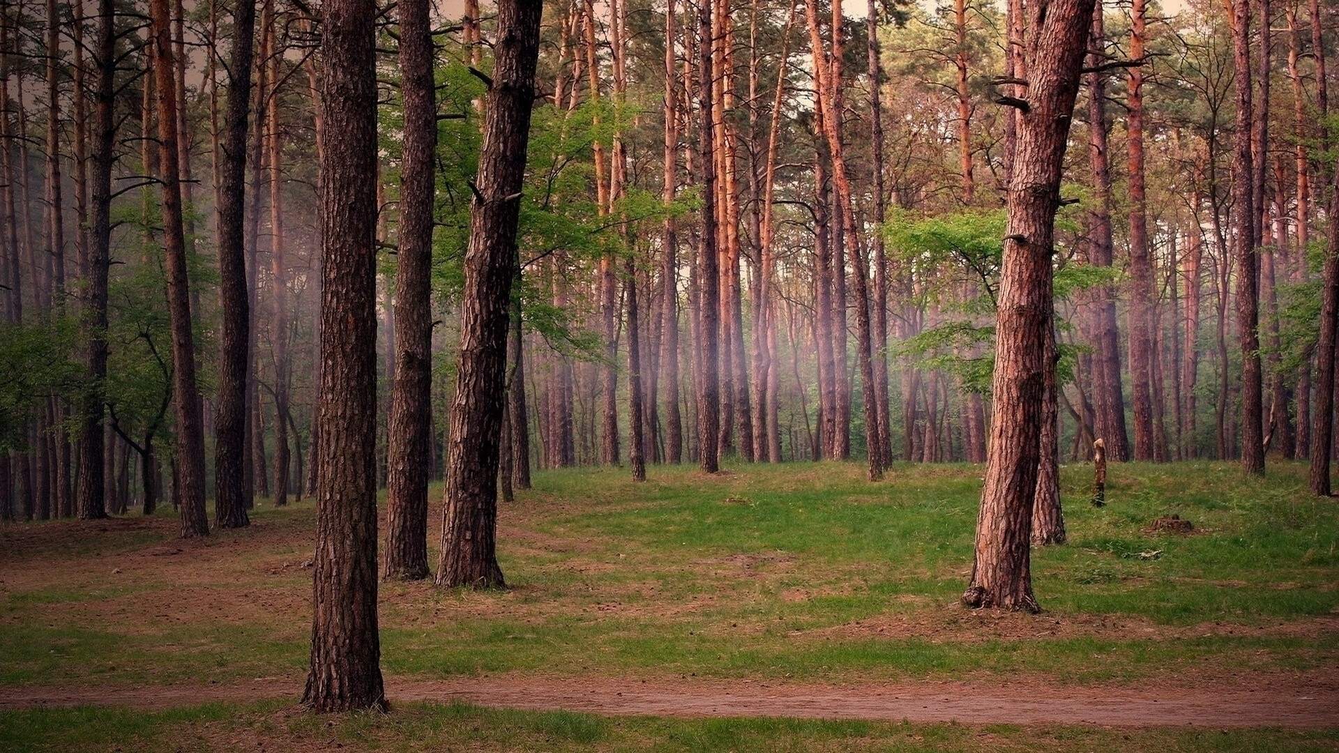 唯一之役,2026世界杯A组巅峰对决,乌拉圭完胜瑞典,坎塞洛演绎不可复制的左路神话